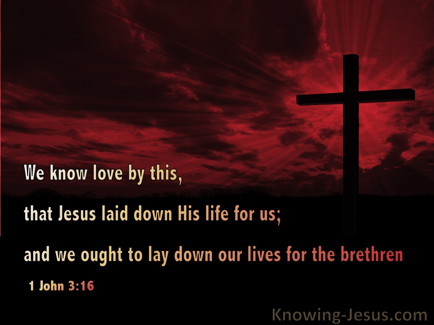 1 John 3:16 Love Jesus Laid Down His Life  (black)
